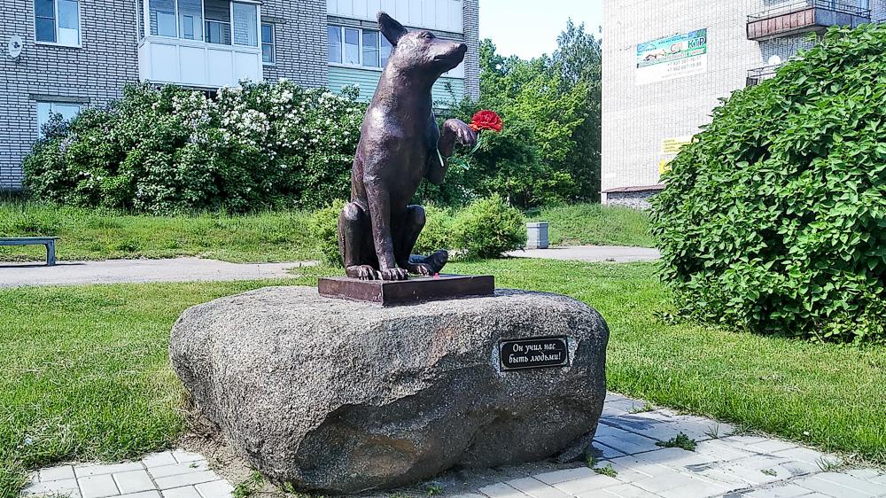 Памятник бездомной собаке в Новой Ладоге
